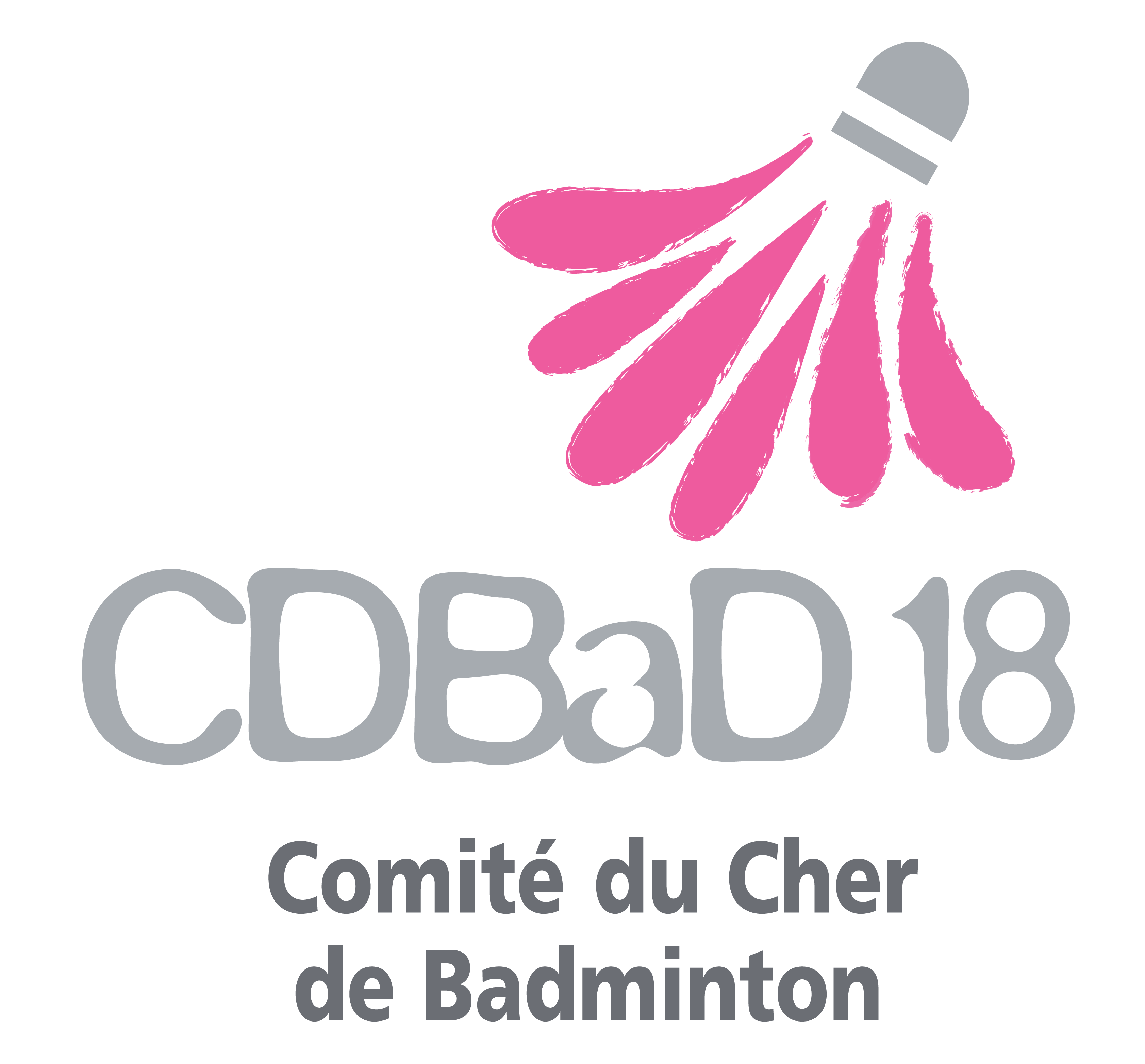 logo du comité départemental de badminton du Cher